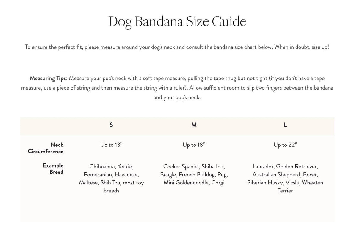 Over the Rainbow Dog Bandana