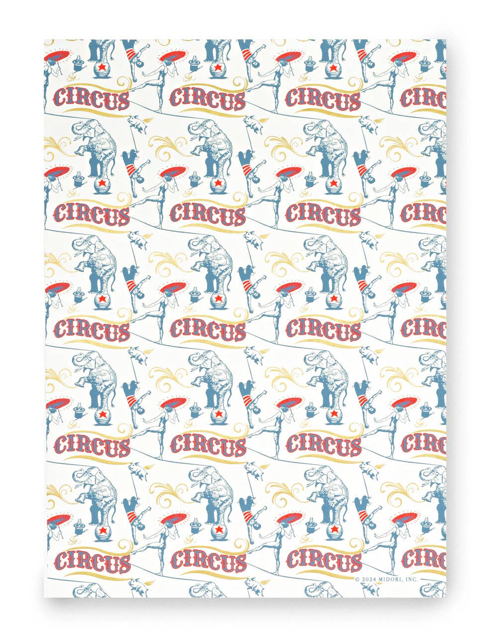 Carnival Wrapping Paper