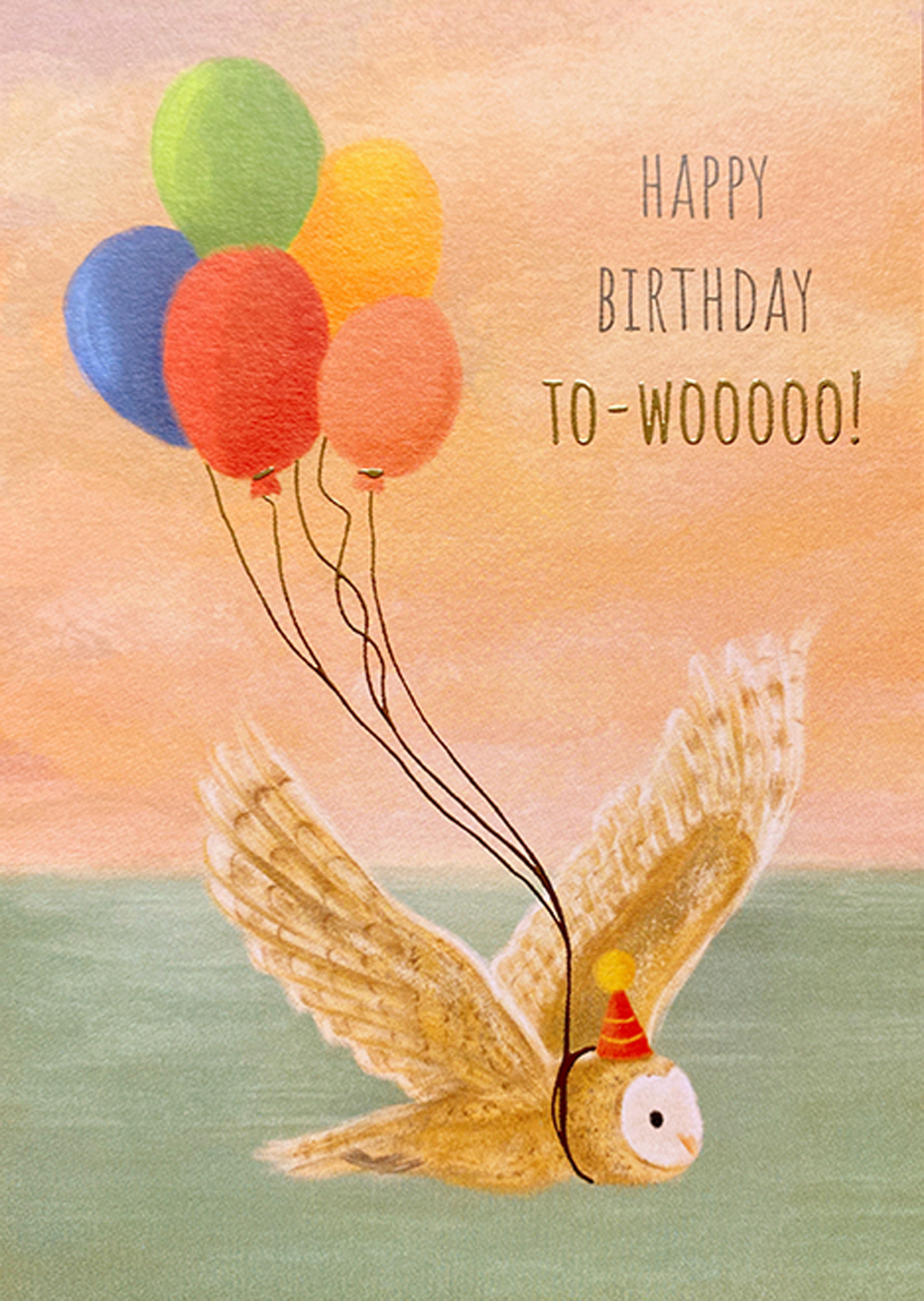 BIRTHDAY OWL BALLOONS GREETING CARD JO COUCH