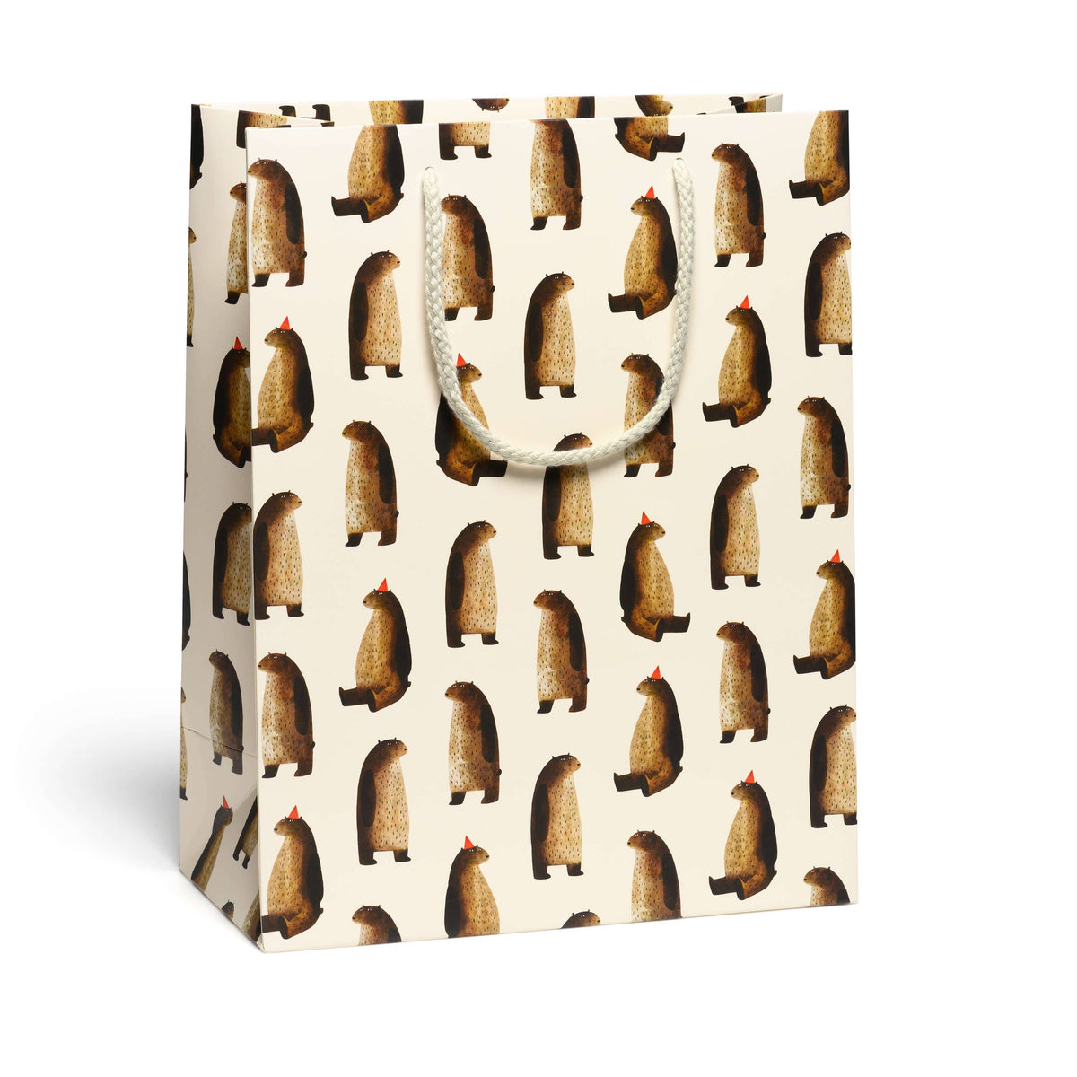 Party Bear Gift Bag (Large)