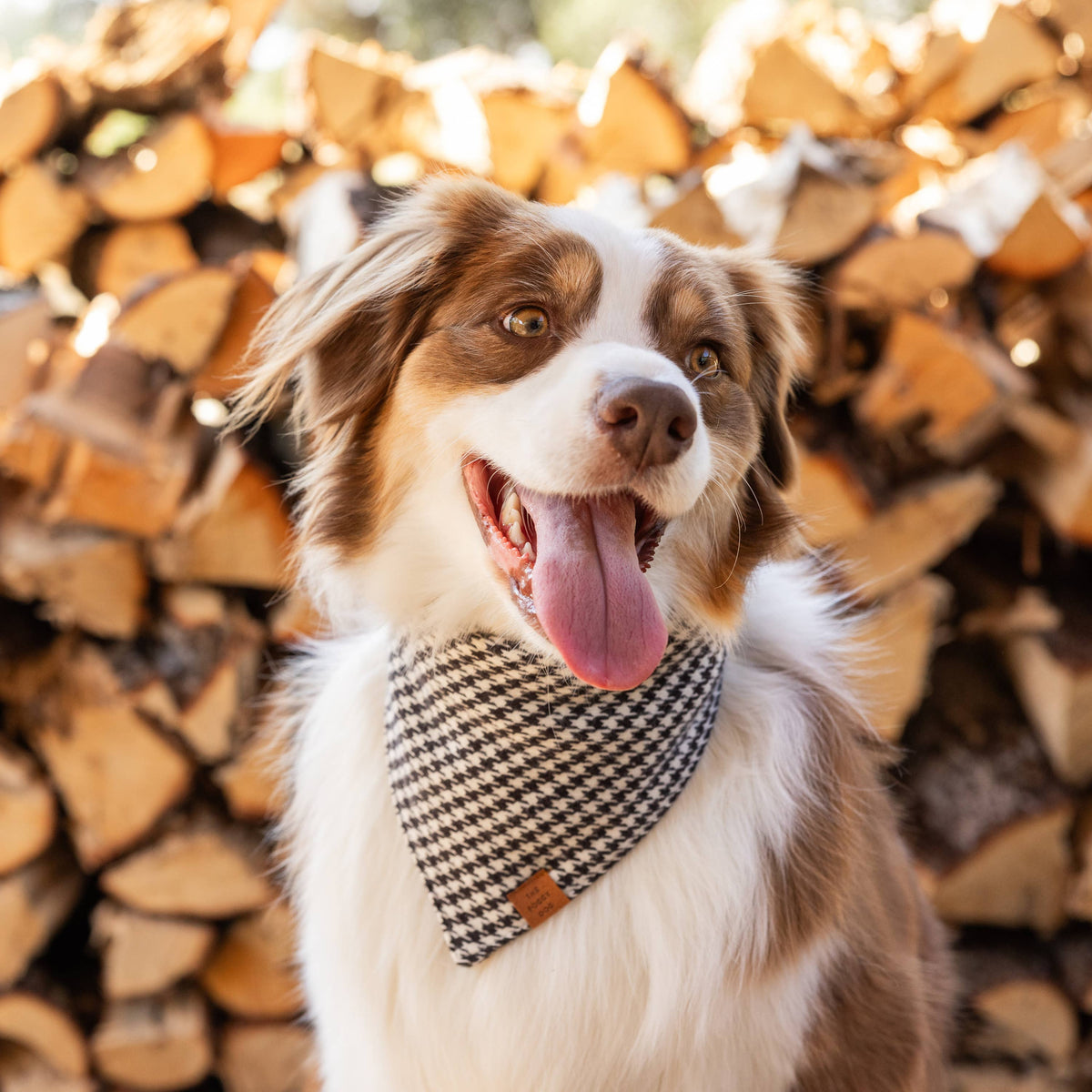 Houndstooth Flannel Winter Dog Bandana