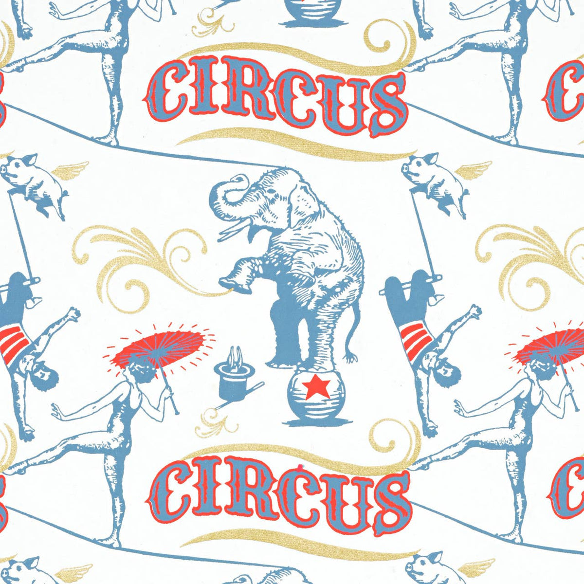 Carnival Wrapping Paper