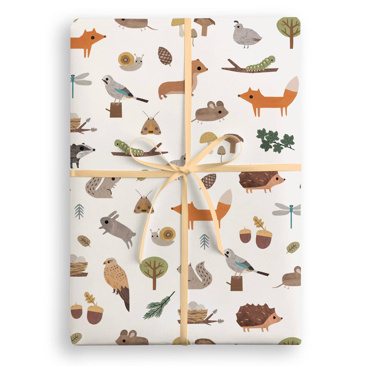 Woodland Animals Gift Wrap